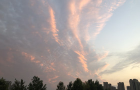 青岛丰晟驾校