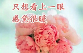 临沂蒙阳驾校