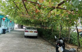 金华东关驾校