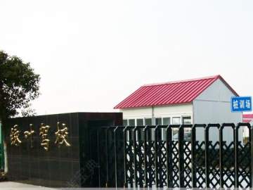 绿叶驾校