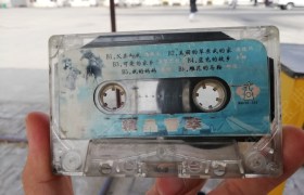 沧州金盾驾校
