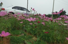 衡阳远航驾校