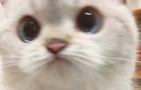 信阳辉腾驾校