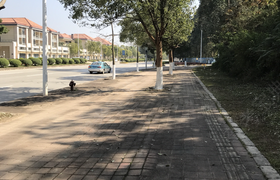 东莞南博驾校