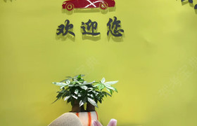 上海沪南驾校