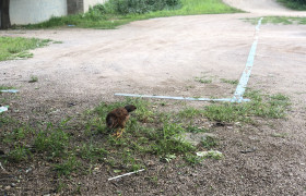 潍坊诸城平安驾校