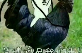 许昌远通驾校