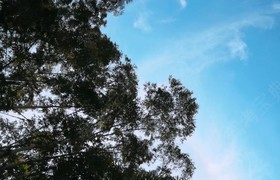 泉州畅安驾校