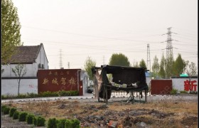 平顶山新城驾校