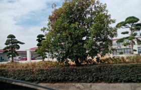 金华东兴驾校