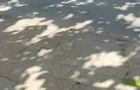 渭南威志驾校