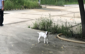 泰安农大驾校