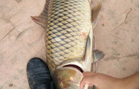 鹰潭驰顺驾校