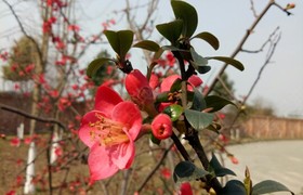 乐山安捷驾校