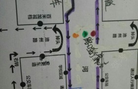 东营顺通驾校
