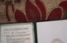 泰安新汶驾校