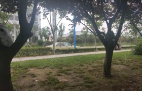 青岛全越驾校