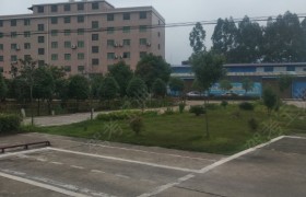 郴州希望驾校