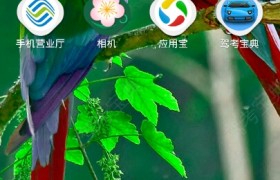 开封龙成驾校