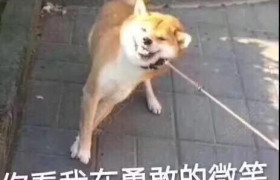 焦作鑫华驾校
