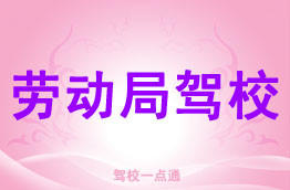 劳动局驾校