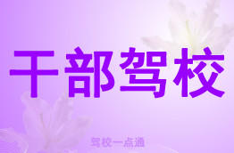 干部驾校