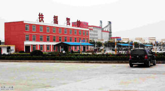 扶摇驾校