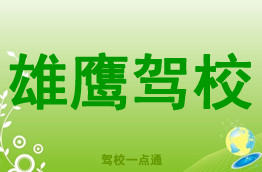 雄鹰驾校