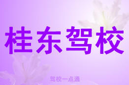 桂东驾校