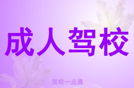 成人驾校