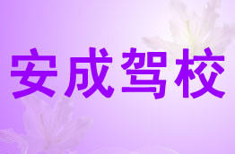 安成驾校