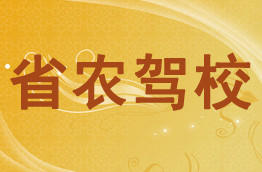 省农驾校