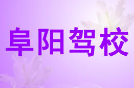 阜阳驾校