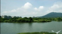 交院驾校