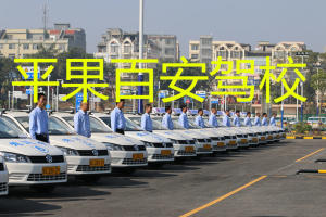 平果县百安驾校
