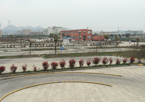 畅安驾校