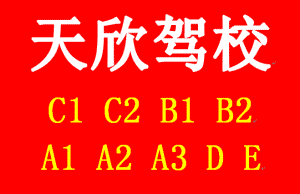 天欣驾校网络自营区