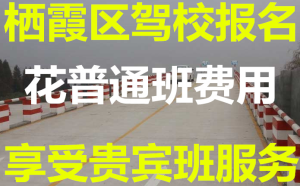 南京维港驾校